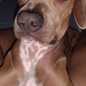 Meet your Posher, Erwin